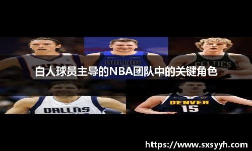 白人球员主导的NBA团队中的关键角色